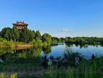 墨西哥杯足球比分-墨西哥杯足球比分，激情与悬念交织的绿茵盛宴
